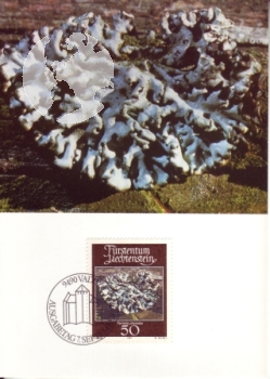 FL 0776 / 0779 MC ● - 1981